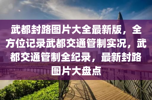 武都封路图片大全最新版，全方位记录武都交通管制实况，武都交通管制全纪录，最新封路图片大盘点