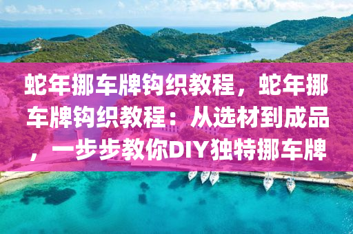 蛇年挪车牌钩织教程，蛇年挪车牌钩织教程：从选材到成品，一步步教你DIY独特挪车牌