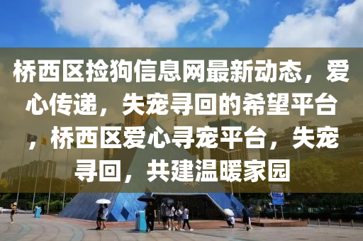 桥西区捡狗信息网最新动态，爱心传递，失宠寻回的希望平台，桥西区爱心寻宠平台，失宠寻回，共建温暖家园