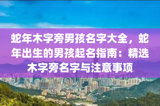 蛇年木字旁男孩名字大全，蛇年出生的男孩起名指南：精选木字旁名字与注意事项