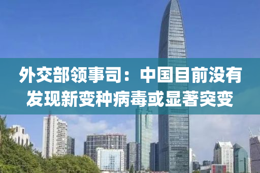 外交部领事司：中国目前没有发现新变种病毒或显著突变