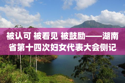 被认可 被看见 被鼓励——湖南省第十四次妇女代表大会侧记