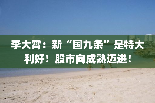 李大霄：新“国九条”是特大利好！股市向成熟迈进！