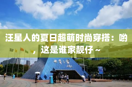 汪星人的夏日超萌时尚穿搭：哟，这是谁家靓仔～