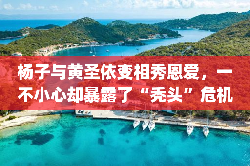 杨子与黄圣依变相秀恩爱，一不小心却暴露了“秃头”危机