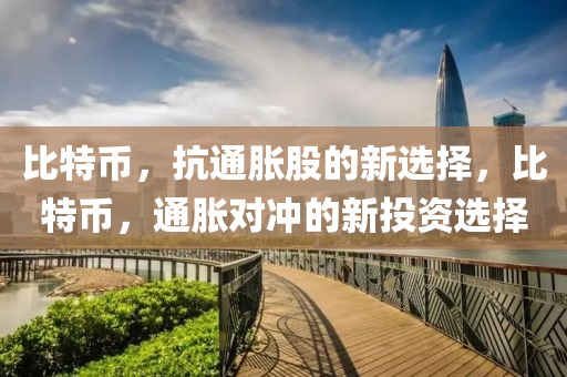 比特币，抗通胀股的新选择，比特币，通胀对冲的新投资选择