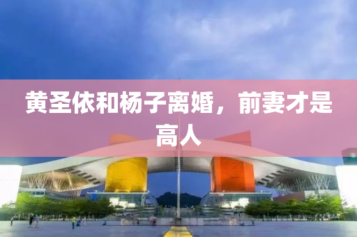 黄圣依和杨子离婚，前妻才是高人