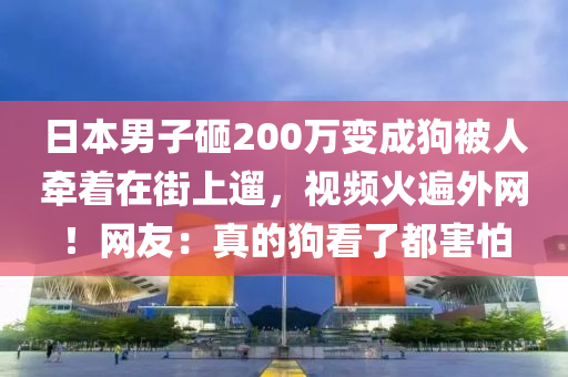 日本男子砸200万变成狗被人牵着在街上遛，视频火遍外网！网友：真的狗看了都害怕