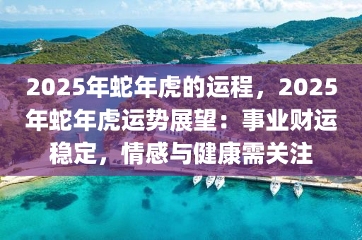 2025年蛇年虎的运程，2025年蛇年虎运势展望：事业财运稳定，情感与健康需关注