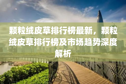 颗粒绒皮草排行榜最新，颗粒绒皮草排行榜及市场趋势深度解析