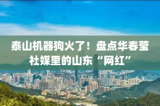 泰山机器狗火了！盘点华春莹社媒里的山东“网红”