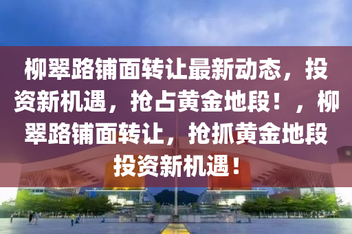 柳翠路铺面转让最新动态，投资新机遇，抢占黄金地段！，柳翠路铺面转让，抢抓黄金地段投资新机遇！