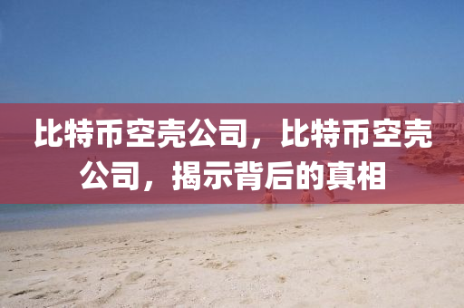 比特币空壳公司，比特币空壳公司，揭示背后的真相