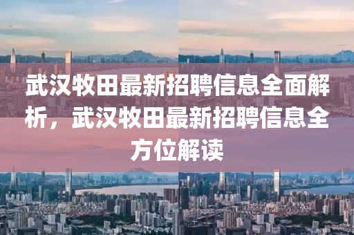 武汉牧田最新招聘信息全面解析，武汉牧田最新招聘信息全方位解读