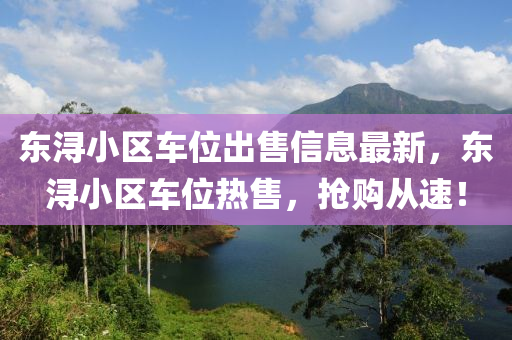 东浔小区车位出售信息最新，东浔小区车位热售，抢购从速！
