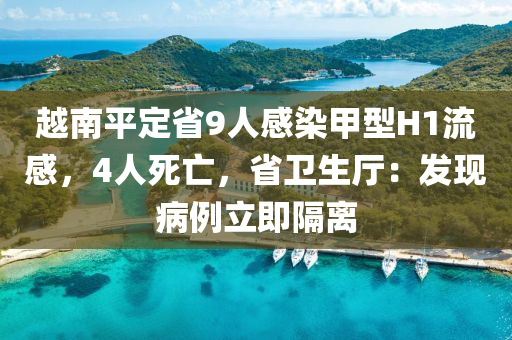 越南平定省9人感染甲型H1流感，4人死亡，省卫生厅：发现病例立即隔离