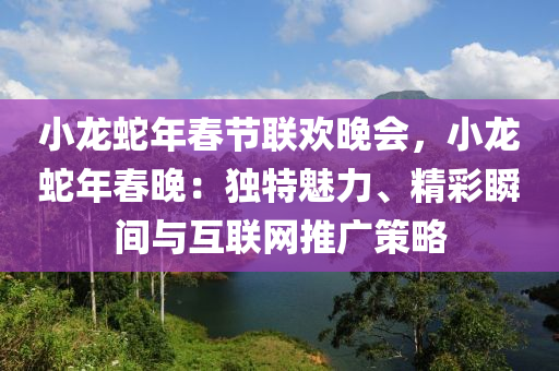 小龙蛇年春节联欢晚会，小龙蛇年春晚：独特魅力、精彩瞬间与互联网推广策略