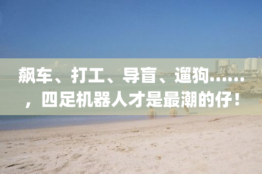 飙车、打工、导盲、遛狗……，四足机器人才是最潮的仔！