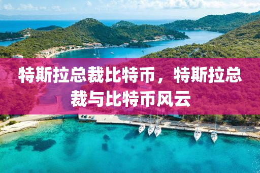 特斯拉总裁比特币，特斯拉总裁与比特币风云