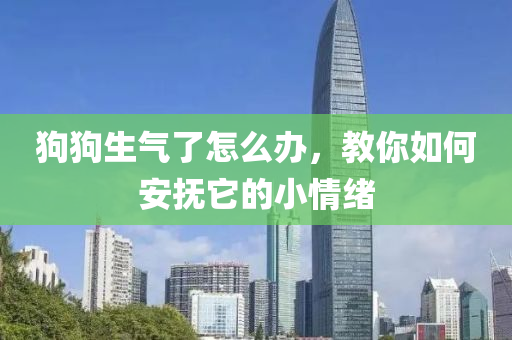 狗狗生气了怎么办，教你如何安抚它的小情绪