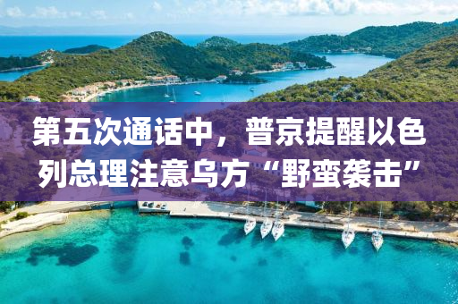 第五次通话中，普京提醒以色列总理注意乌方“野蛮袭击”