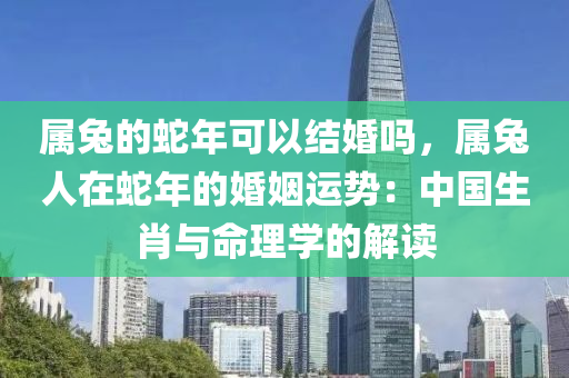 属兔的蛇年可以结婚吗，属兔人在蛇年的婚姻运势：中国生肖与命理学的解读