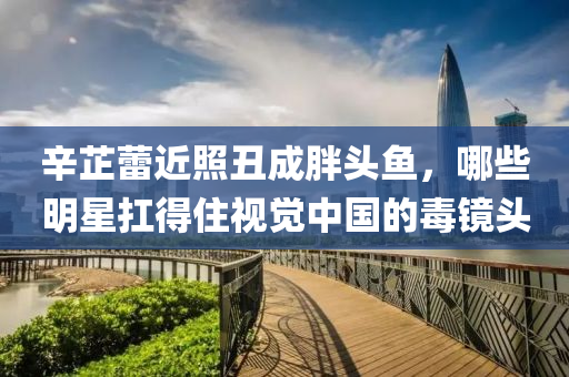 辛芷蕾近照丑成胖头鱼，哪些明星扛得住视觉中国的毒镜头