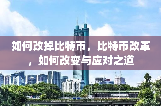 如何改掉比特币，比特币改革，如何改变与应对之道