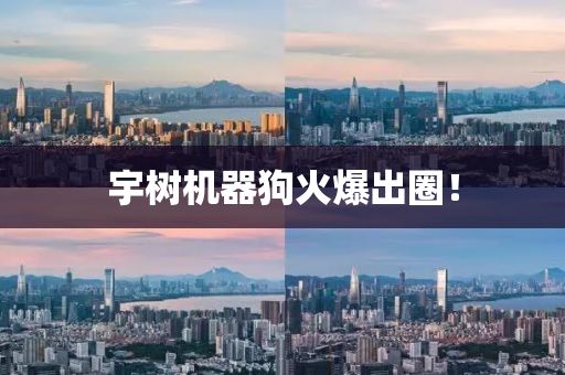 宇树机器狗火爆出圈！
