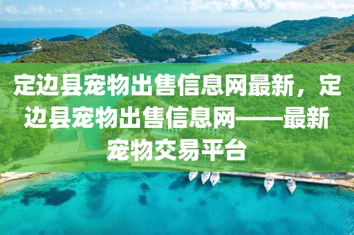 定边县宠物出售信息网最新，定边县宠物出售信息网——最新宠物交易平台