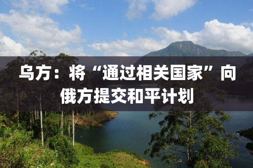乌方：将“通过相关国家”向俄方提交和平计划