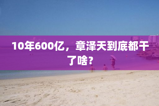 10年600亿，章泽天到底都干了啥？