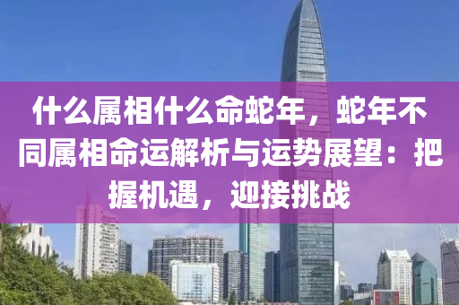 什么属相什么命蛇年，蛇年不同属相命运解析与运势展望：把握机遇，迎接挑战