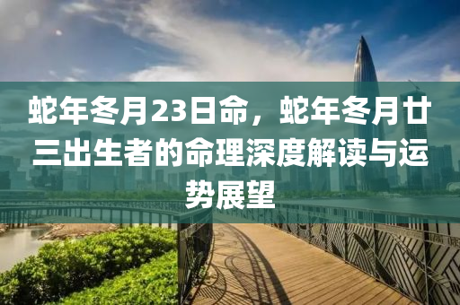 蛇年冬月23日命，蛇年冬月廿三出生者的命理深度解读与运势展望