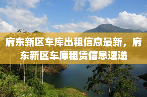 府东新区车库出租信息最新，府东新区车库租赁信息速递