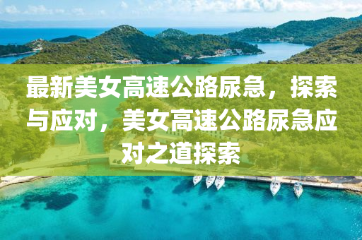 最新美女高速公路尿急，探索与应对，美女高速公路尿急应对之道探索