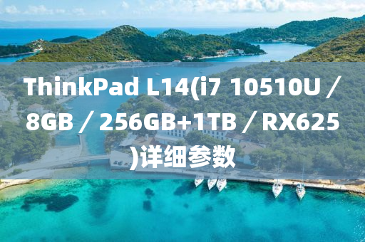 ThinkPad L14(i7 10510U／8GB／256GB+1TB／RX625)详细参数
