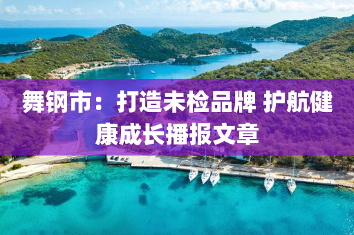 舞钢市：打造未检品牌 护航健康成长播报文章
