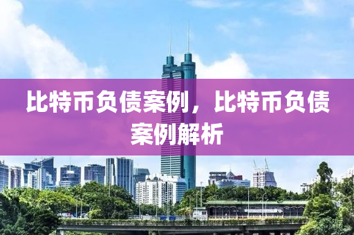 比特币负债案例，比特币负债案例解析