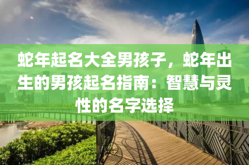 蛇年起名大全男孩子，蛇年出生的男孩起名指南：智慧与灵性的名字选择