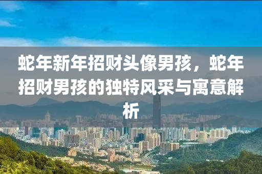 蛇年新年招财头像男孩，蛇年招财男孩的独特风采与寓意解析