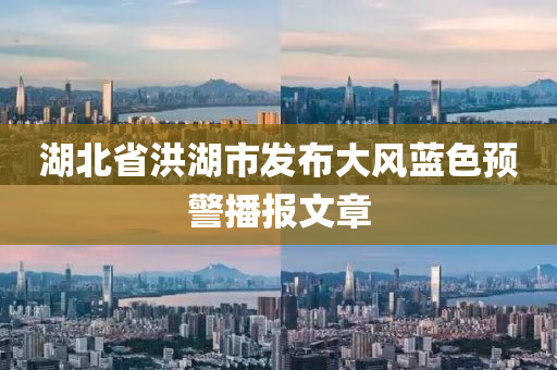 湖北省洪湖市发布大风蓝色预警播报文章