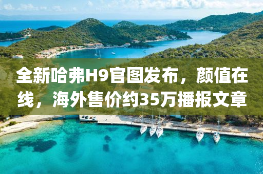 全新哈弗H9官图发布，颜值在线，海外售价约35万播报文章
