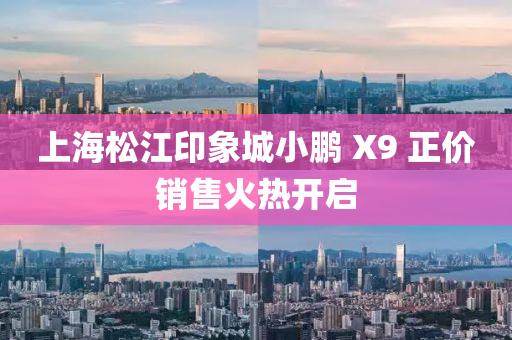 上海松江印象城小鹏 X9 正价销售火热开启