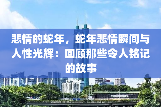 悲情的蛇年，蛇年悲情瞬间与人性光辉：回顾那些令人铭记的故事