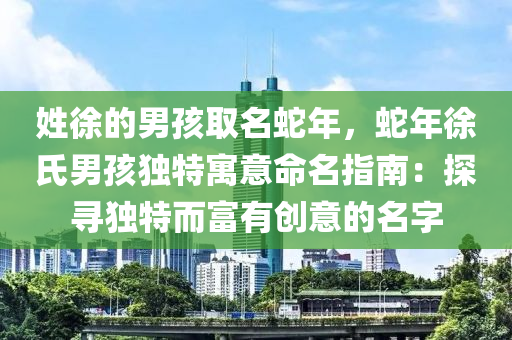 姓徐的男孩取名蛇年，蛇年徐氏男孩独特寓意命名指南：探寻独特而富有创意的名字