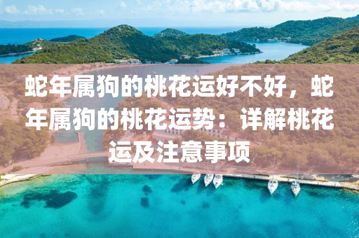 蛇年属狗的桃花运好不好，蛇年属狗的桃花运势：详解桃花运及注意事项