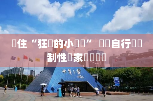 剎住“狂飆的小電驢” 電動自行車強制性國家標準發佈