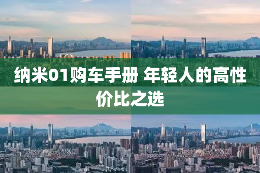 纳米01购车手册 年轻人的高性价比之选