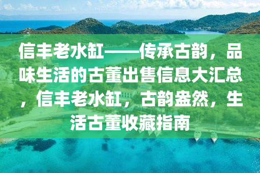 信丰老水缸——传承古韵，品味生活的古董出售信息大汇总，信丰老水缸，古韵盎然，生活古董收藏指南